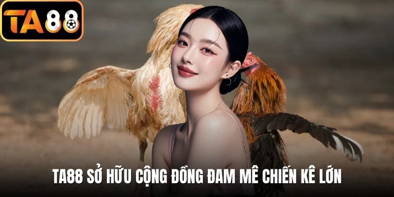 TA88 sở hữu cộng đồng đam mê chiến kê lớn