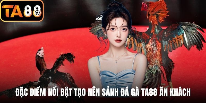 Đặc điểm nổi bật tạo nên sảnh đá gà TA88 ăn khách