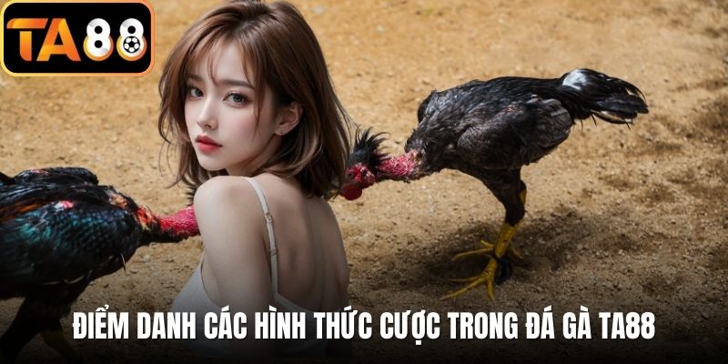 Điểm danh các hình thức cược trong đá gà TA88
